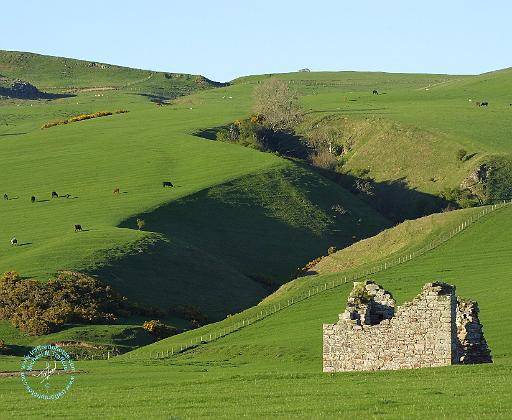 Scottish Borders 8T014D-13.JPG